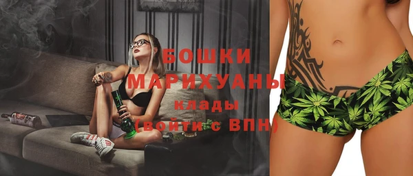 a pvp Бородино