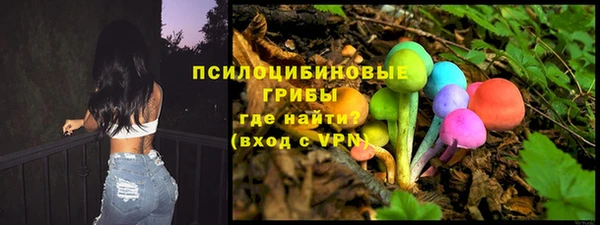 a pvp Бородино